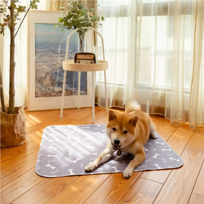The Last Pee Pad You'll Get