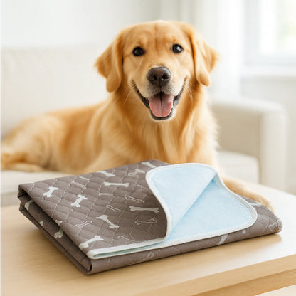 The Last Pee Pad You'll Get